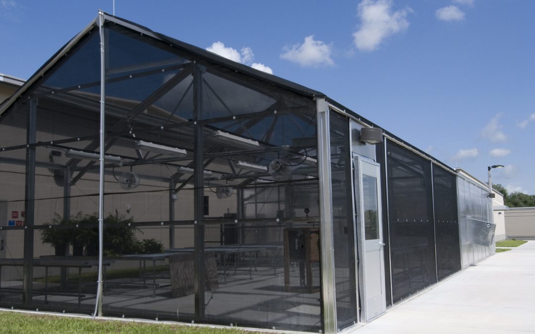 Screen Enclosure in Florida